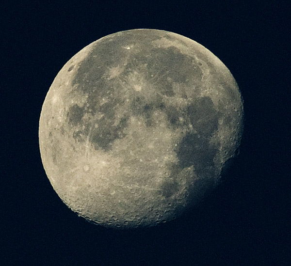 moon moon